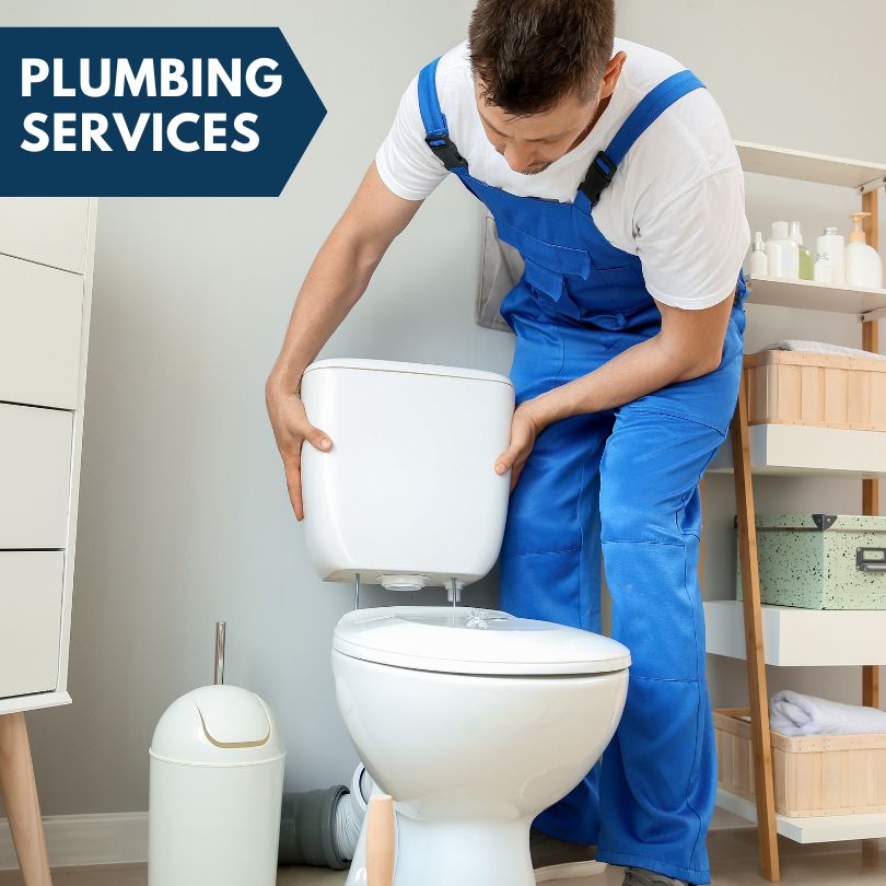 Plumbing Company in Niles, IL